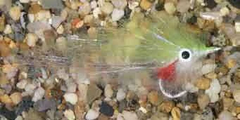 Enrico Puglisi Mangrove Baitfish Pilchard Saltwater Fly 1 Enrico Puglisi Mangrove Baitfish Pilchard Saltwater Fly