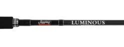 Jigging World Luminous Popping Rods -Fishing Sales Store jigging world luminous popping rods 30297.1680784547