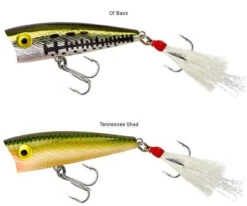 Rebel P50 Teeny Pop-R 2in -Fishing Sales Store rebel p50 teeny pop r 2in 18331.1651013318