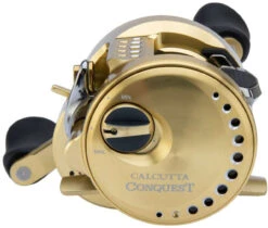 Shimano Calcutta Conquest 100 & 200 A Baitcasting Reels -Fishing Sales Store shimano calcutta conquest 100 200 baitcasting reels 24105.1651376438