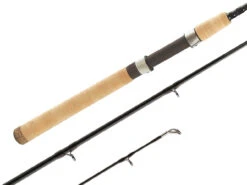 Shimano Teramar Inshore Southeast Casting And Spinning Rods -Fishing Sales Store shimano teramar southeast fishing rods 71796.1651006809
