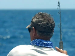 Shimano Terez Conventional Rods -Fishing Sales Store shimano terez conventional fishing rods 83511.1661538644